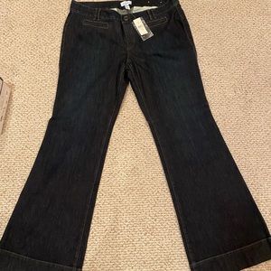 Ann Taylor LOFT Size 14 jeans